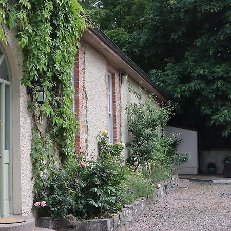 Millvale Cottage Cootehill Eksteriør billede